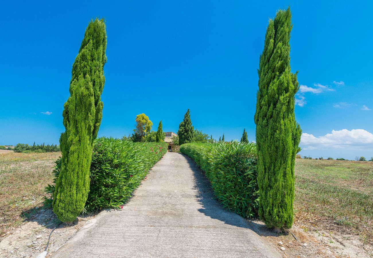 Finca en Santa Margalida - SON FUM Finca 6 personas en Santa Margalida