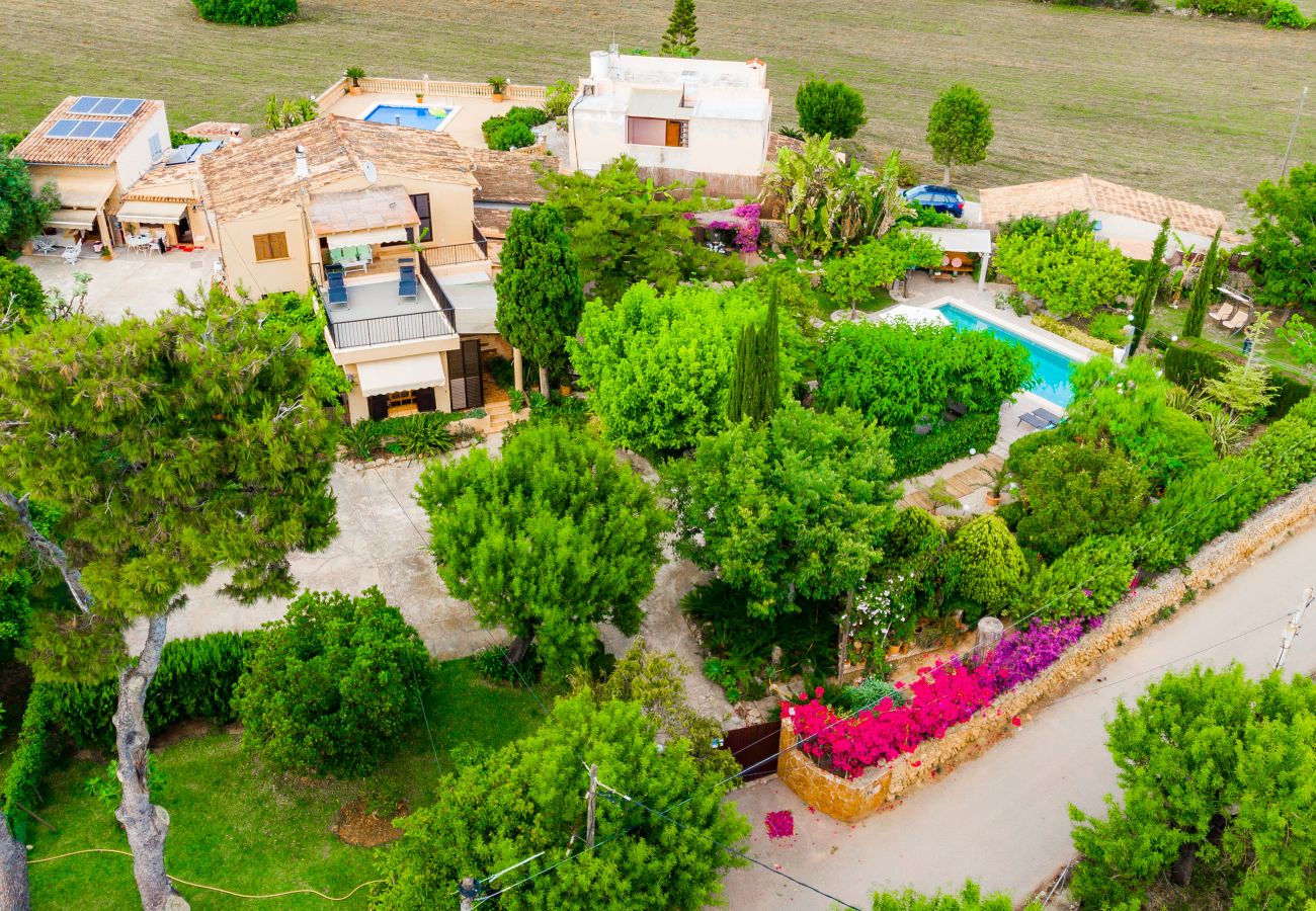 Finca en Alcúdia - Finca Tito y Yaya cerca de playas y restaurantes para 7 con piscina