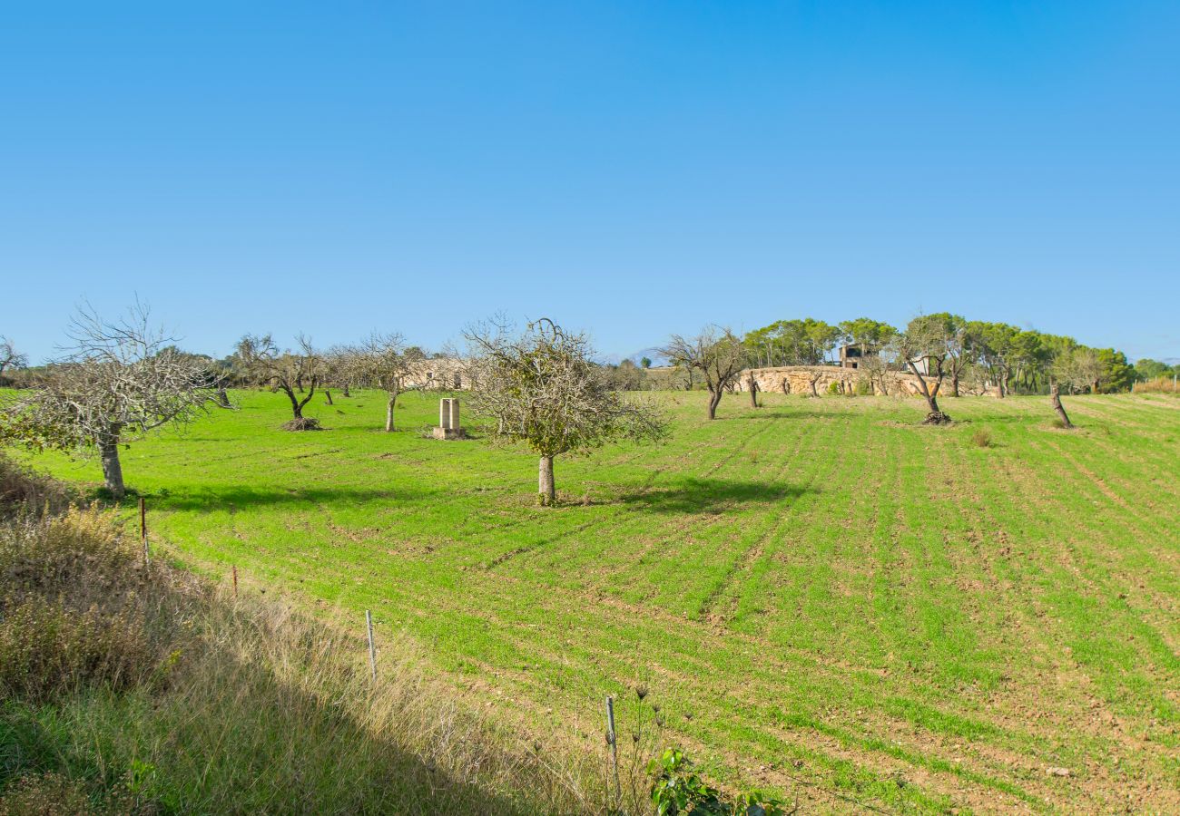 Finca en Santa Margalida - SON VADO finca rural para 4 en Santa Margarita con piscina