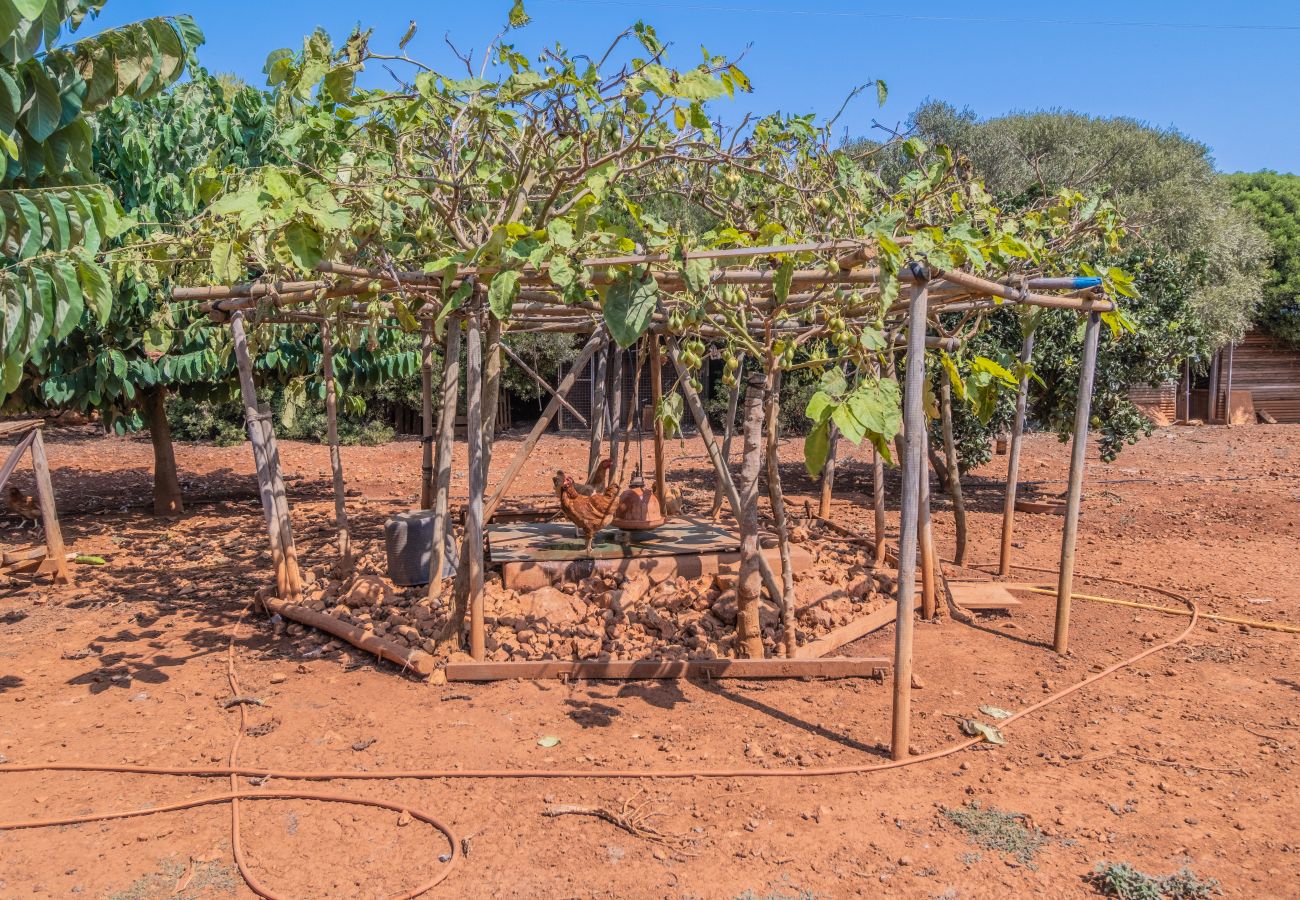 Finca en Cala Romantica - CAN LLORENC Mallorca Villa Selection