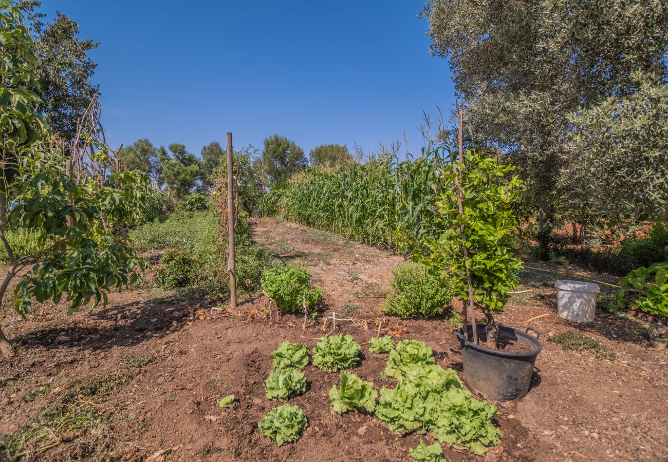 Finca en Cala Romantica - CAN LLORENC Mallorca Villa Selection