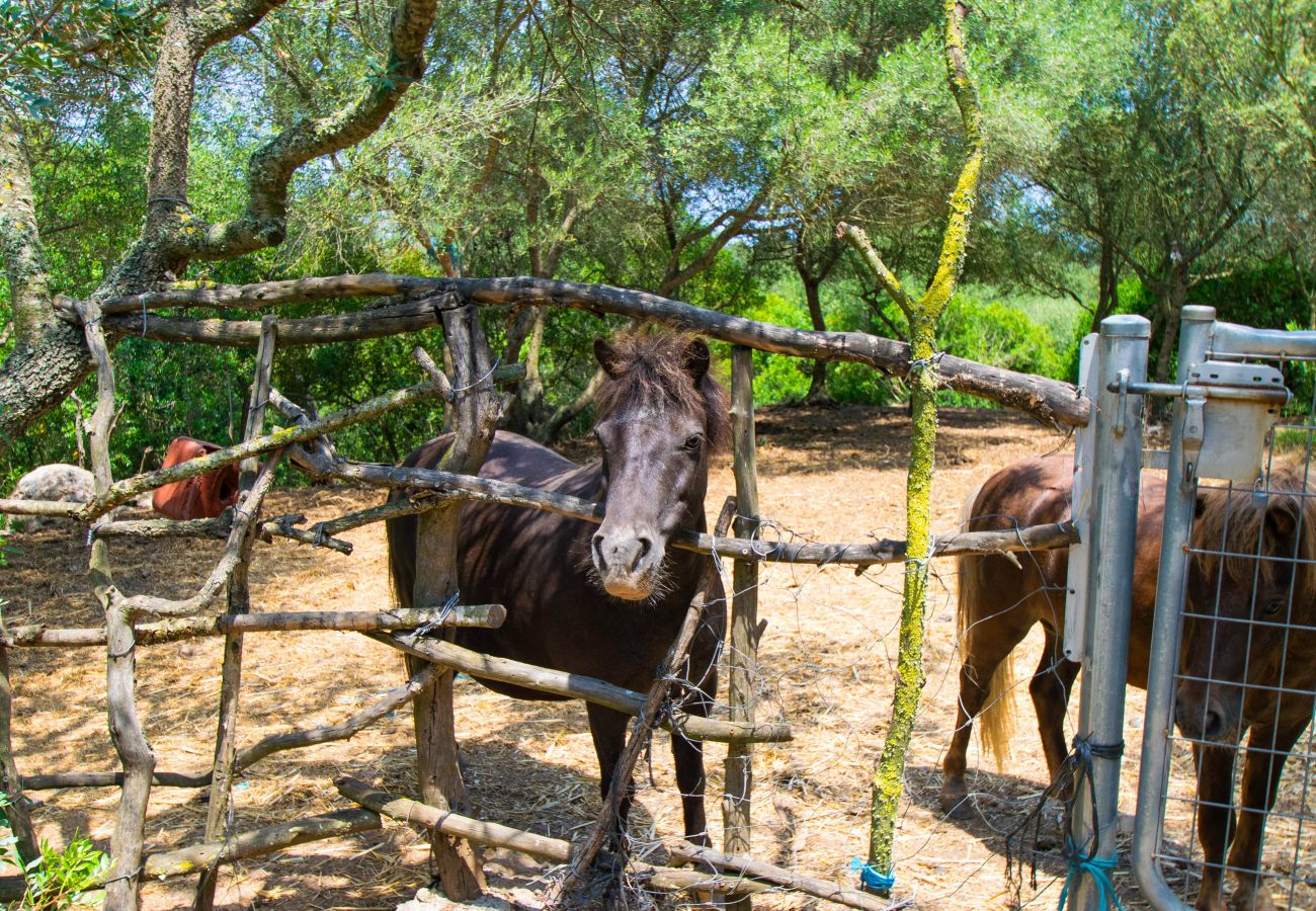 Villa en Sineu -  ES FANGAR Finca para 6 con piscina en Sineu