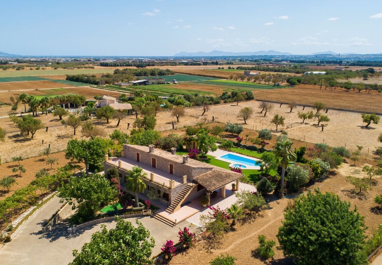 Finca en Sa Pobla - Can Carretxet Finca tradicional mallorquina en Buger