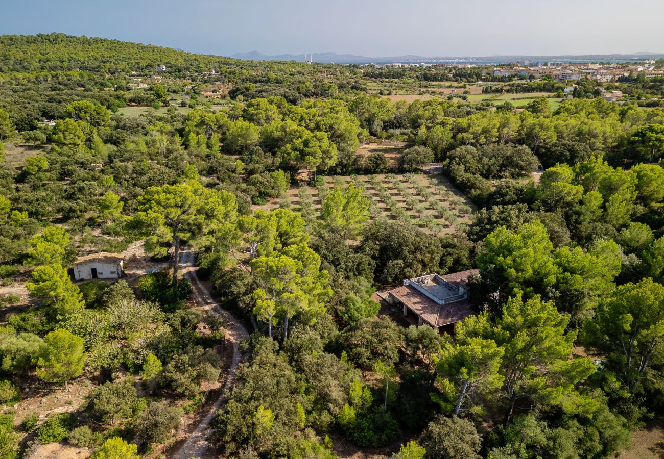 Casa en Alcúdia - CAN SIMO en Alcudia  para 6 a 500m de la playa