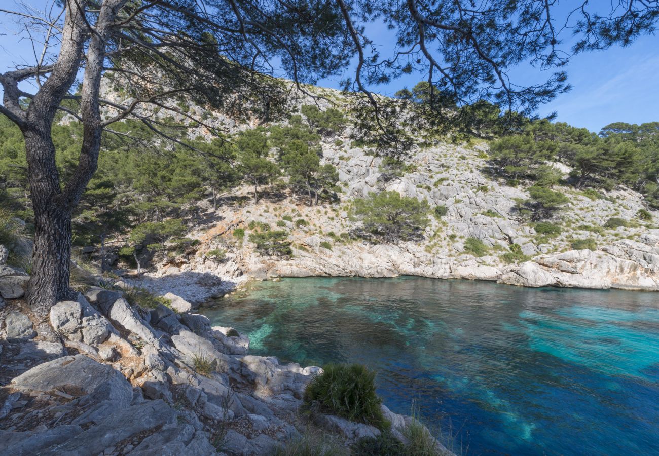 Finca in Inca - PORXET Im Herzen der Insel, eine Oase der Ruhe mit einem Schwimmbad für 6 Personen