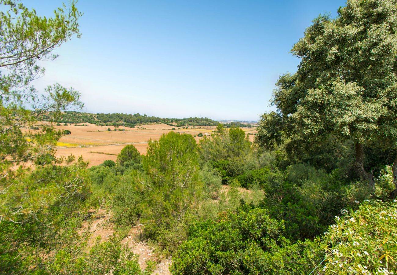 Finca in Sineu - ES FANGAR Finca für 6 mit pool in Sineu