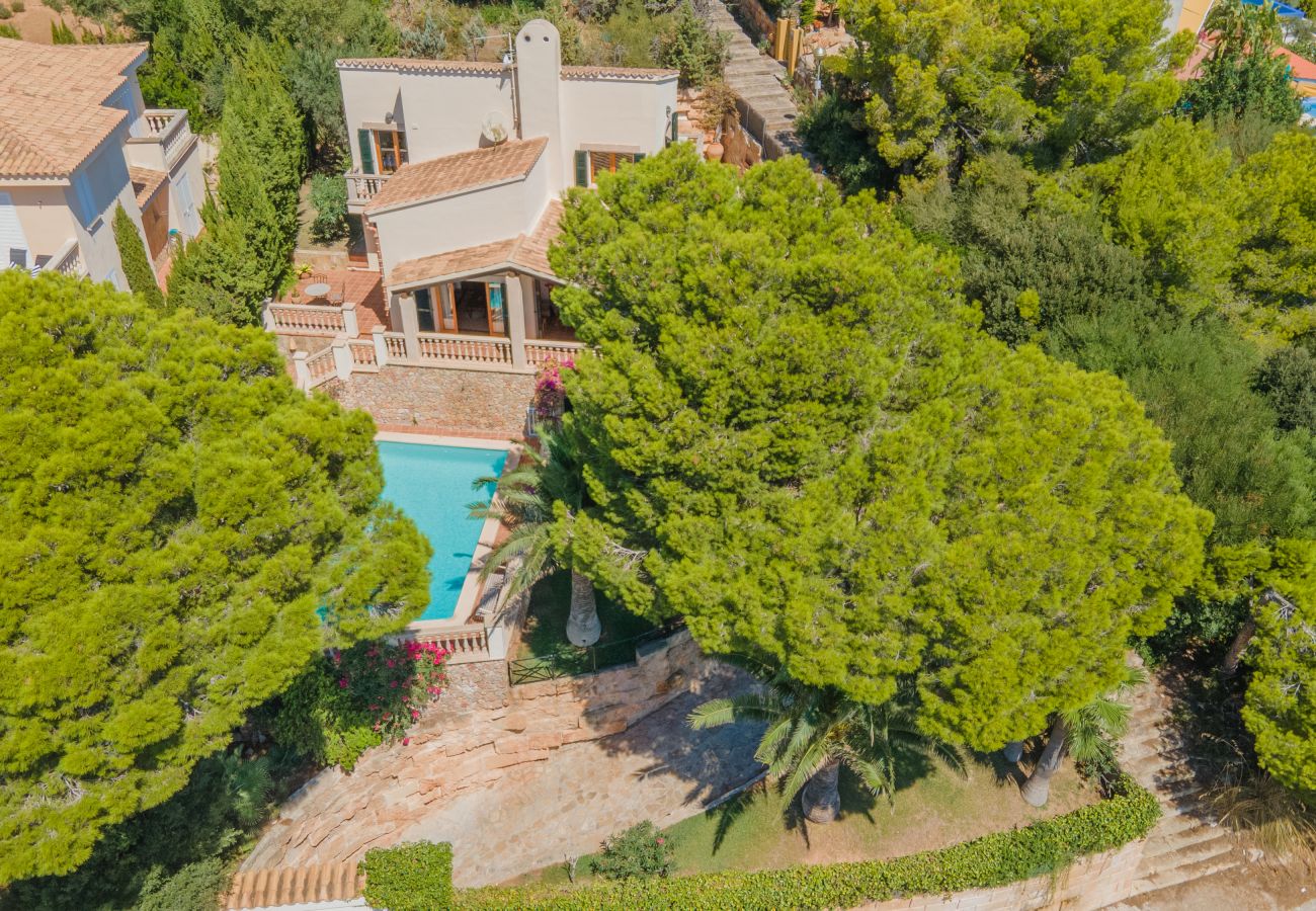 Ferienhaus in Alcudia - Tres Pinos für 6 Personen mit Schwimmbad in Alcanada / Alcudia