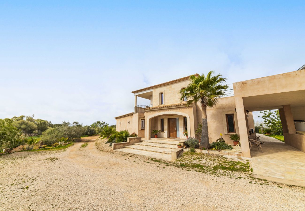 Finca in Campos - SA PEDRERA Finca für 8 in Feldern mit Schwimmbad