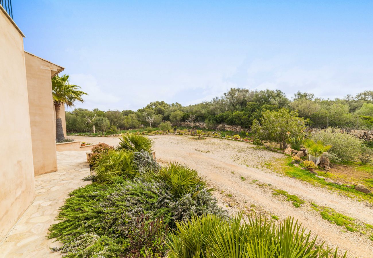 Finca in Campos - SA PEDRERA Finca für 8 in Feldern mit Schwimmbad