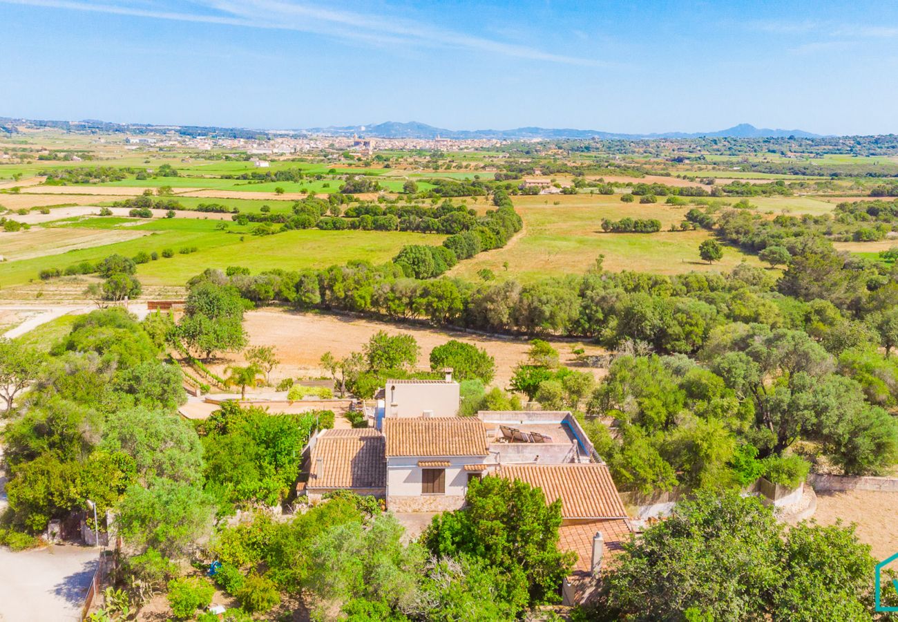 Finca in Petra - NINES Familienfinca für 6 Personen in Petra mit sicherem, eingezäunten Pool für Kinder