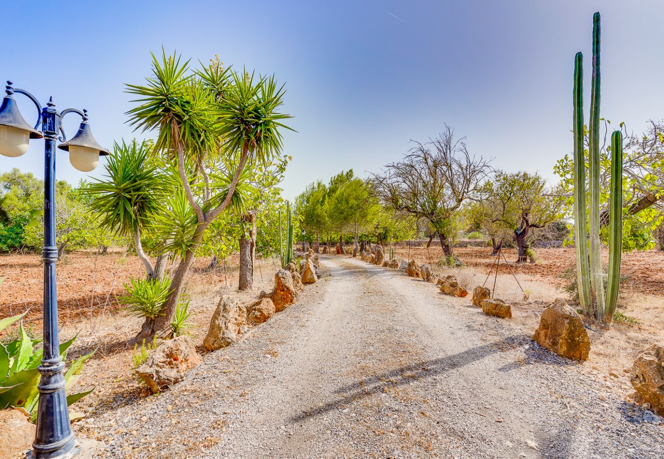 Finca in Buger - GENET Ländliche Finca für 6 Personen mit Pool in Buger