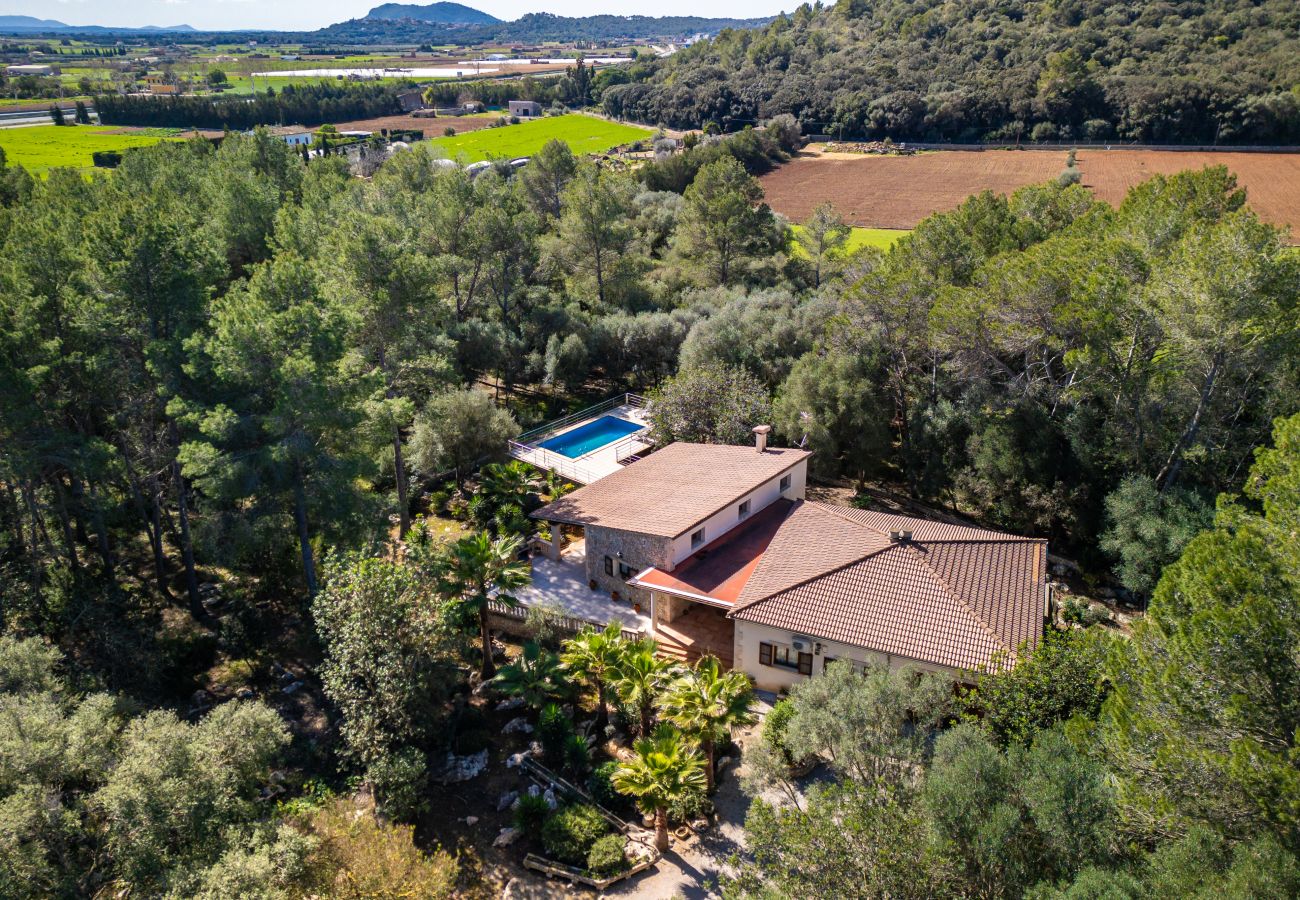 Villa in Sa Pobla - Ferragut Crestatx Finca für 6 Personen mit Schwimmbad