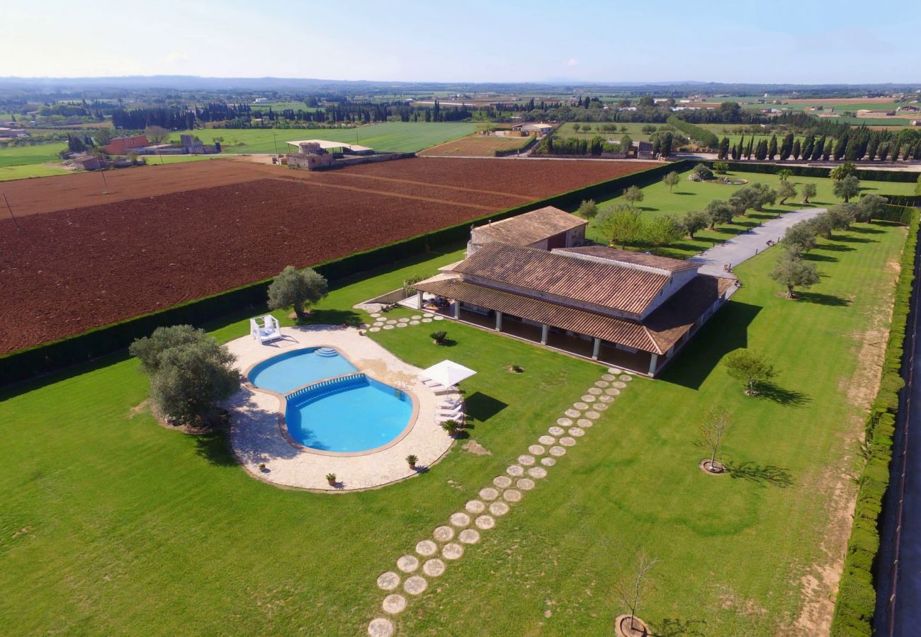 Country house in Sa Pobla - Villa SANT VICENS for 8 with swimming pool surrounded by nature