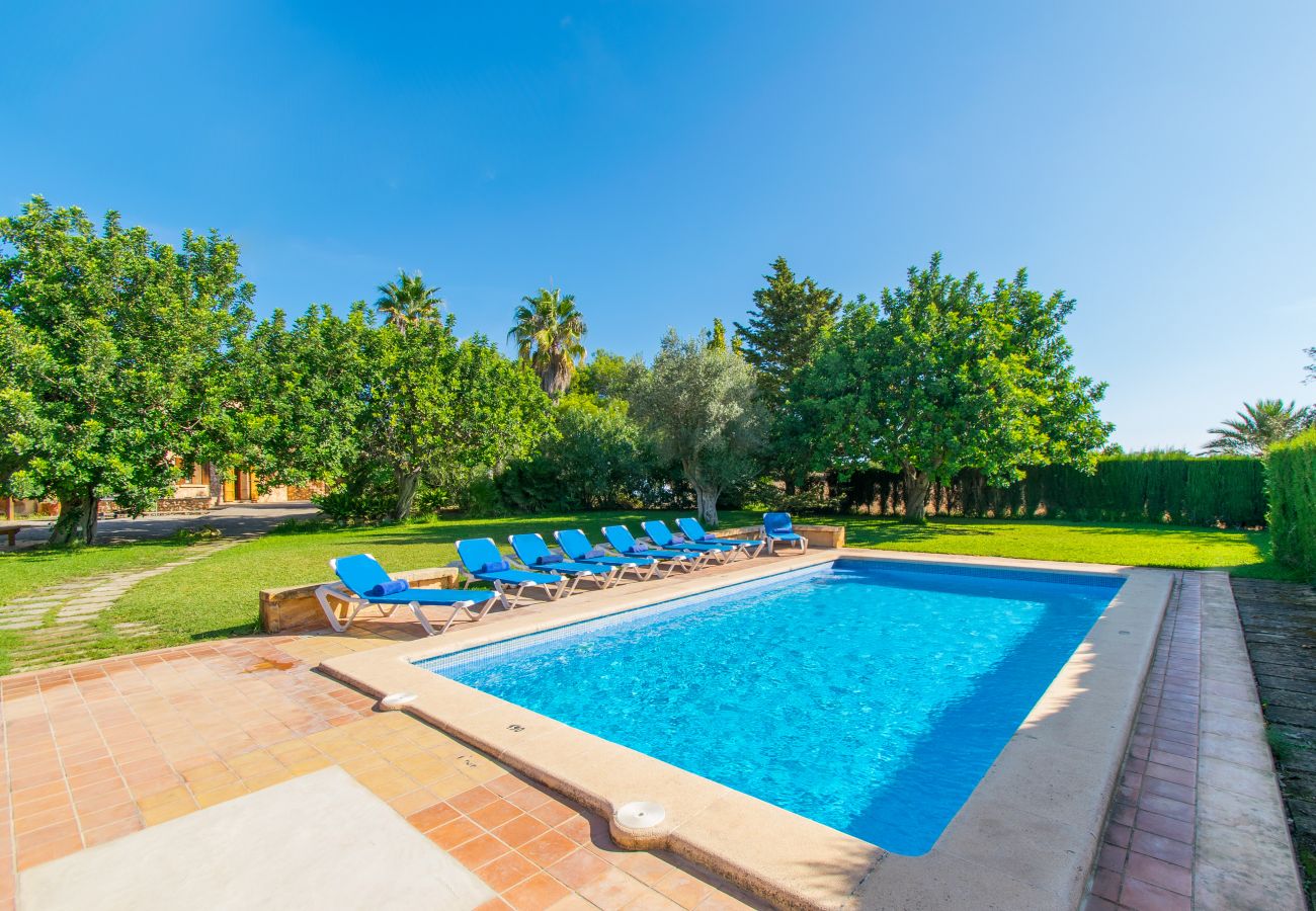 Country house in Manacor (Porto Cristo) - CAN MOLETA  Finca for 8 people near Porto Cristo