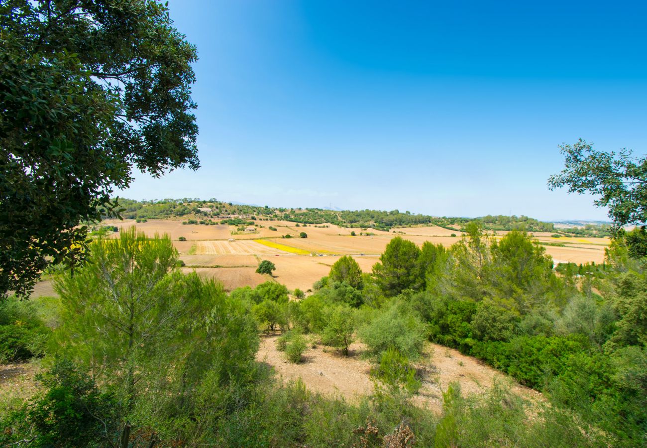 Villa in Sineu - ES FANGAR Finca for 6 with pool in Sineu