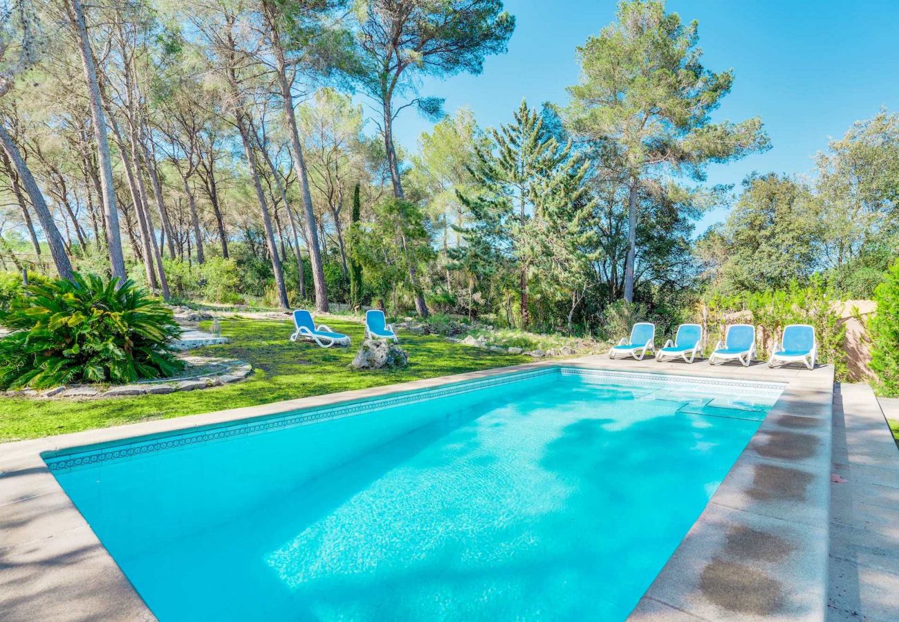 Villa in Sa Pobla - ESTEBAN Finca for 6 with swimming pool surrounded by nature