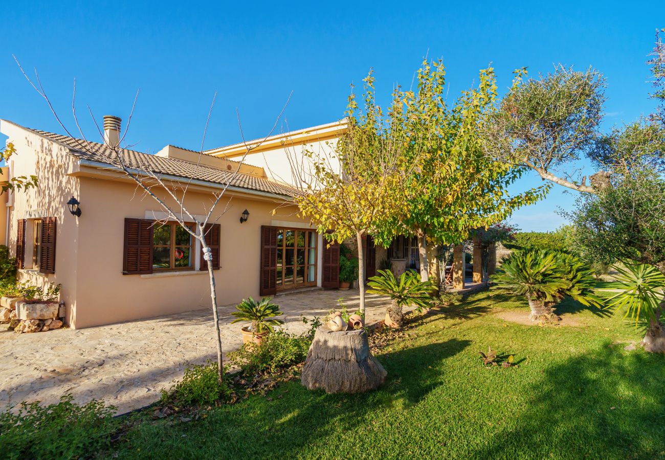 Villa in Santa Margalida - Son Duri for 10 with swimming pool Can Picafort