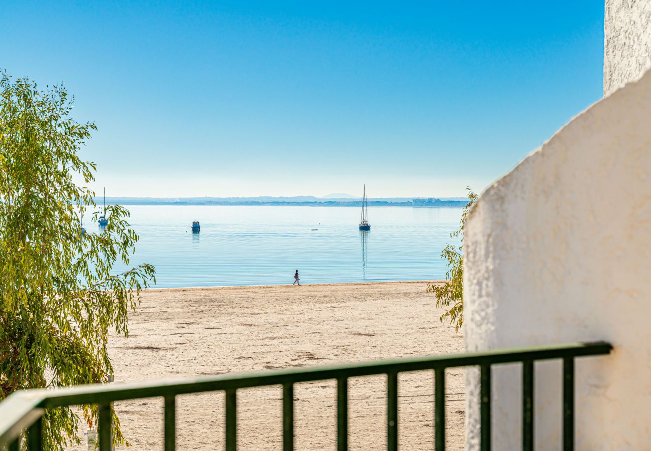 Apartment in Alcudia - Flat Anglada 54 in front of the beach for 4 with pool