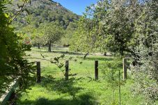 Country house in Alcúdia - Finca Rústica en son fe con 3 casas