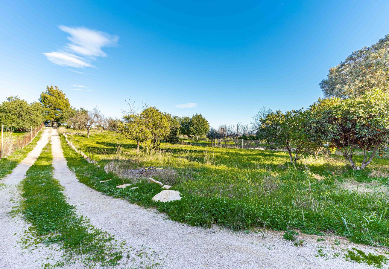 Domaine à Selva - SON BATLE Finca pour 4 avec piscine à Selva