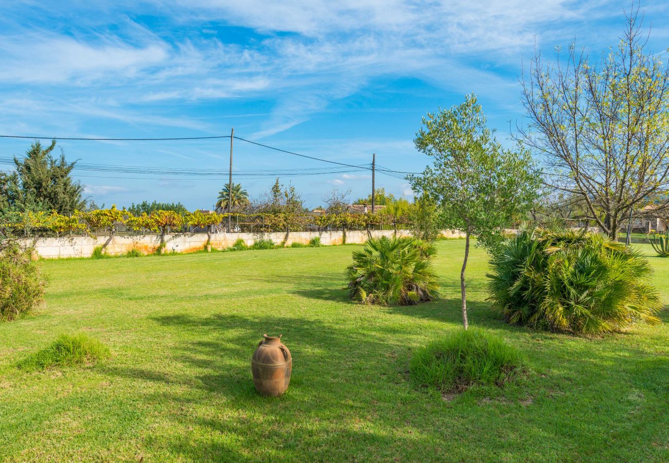 Domaine à Selva - SA VINYETA Finca pour 6 personnes avec piscine, jacuzzi et jardin