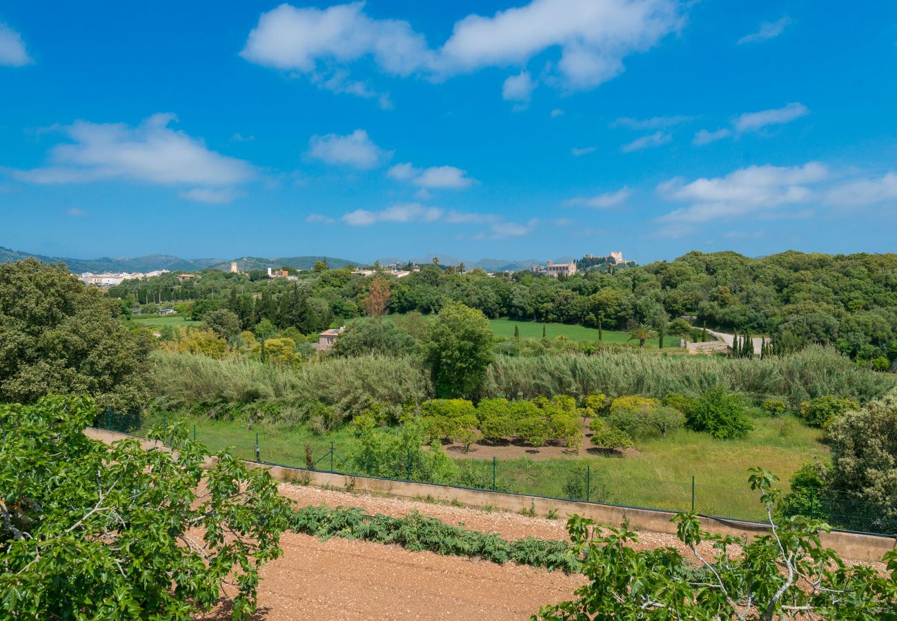 Domaine à Arta - El Molino Finca pour 6 avec piscine à Arta