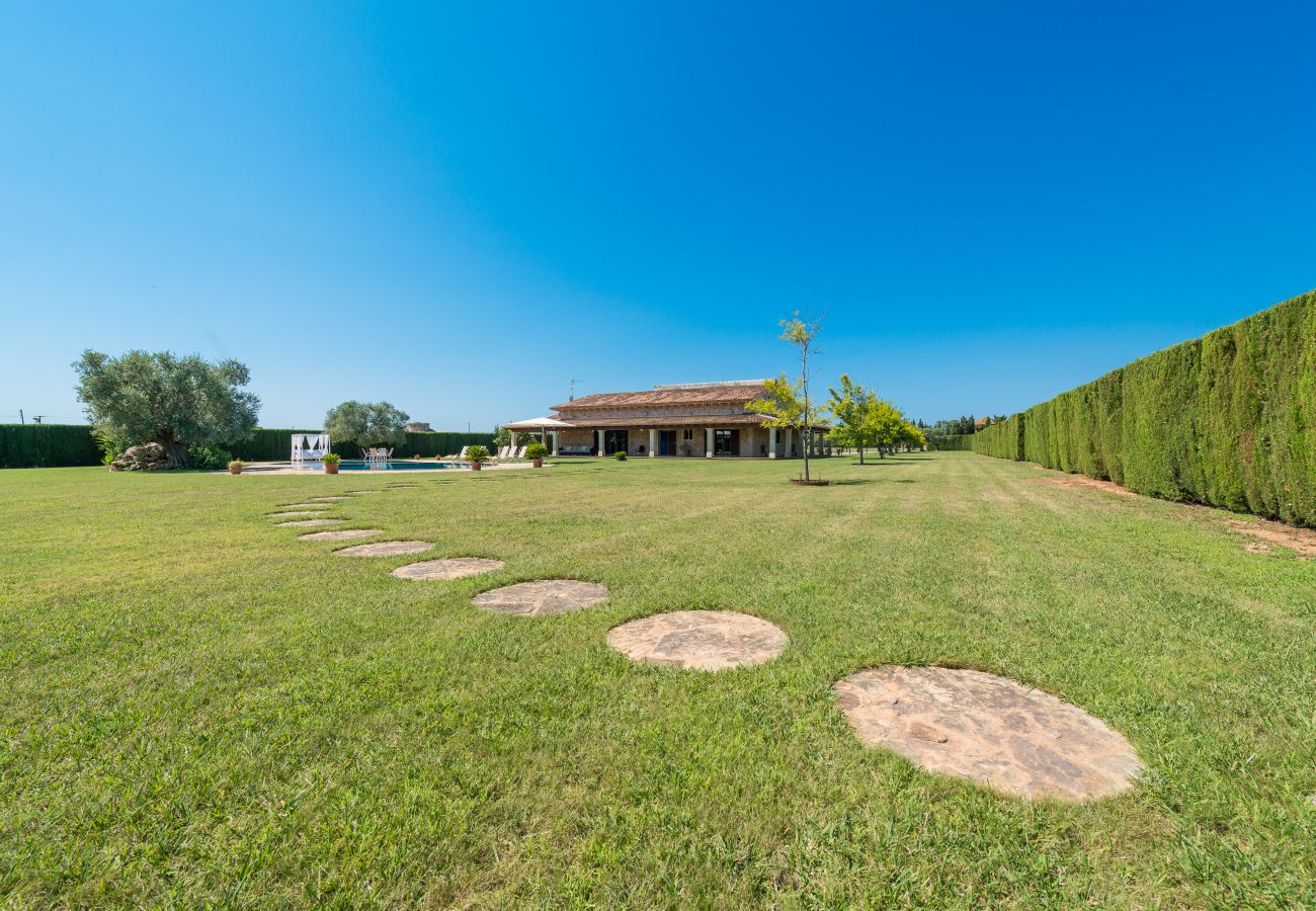 Domaine à Sa Pobla - Villa SANT VICENS pour 8 personnes avec piscine en pleine nature