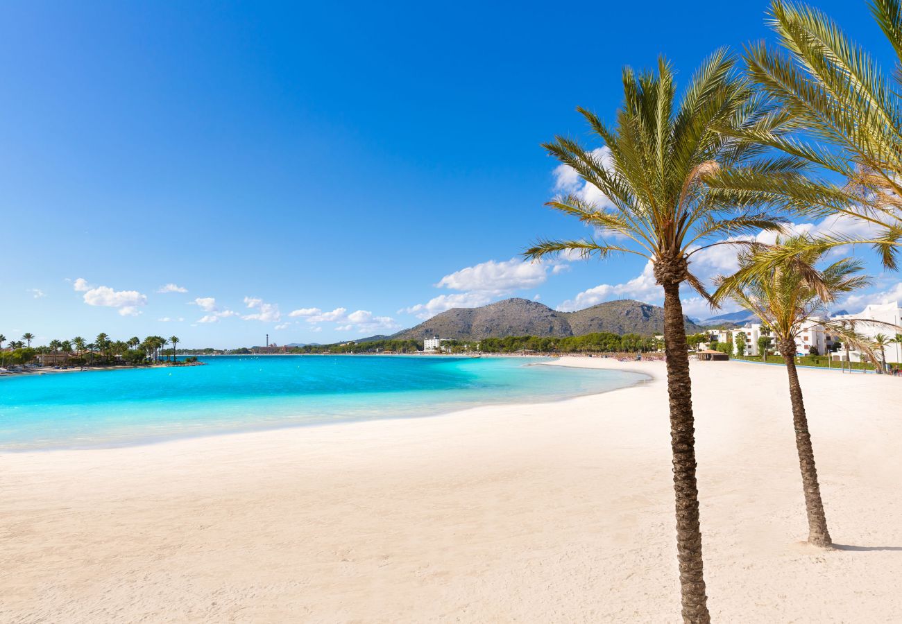 Maison à Alcudia - Bell Punt  Maison pour 6 à seulement 10 mètres de la mer à Alcudia