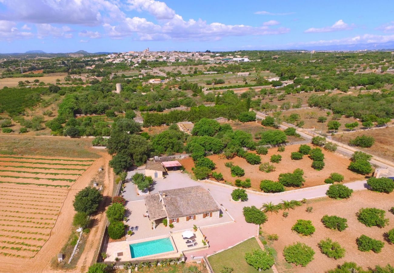 Domaine à Ariany - SA ROTA villa rurale pour 6 à Ariany avec piscine