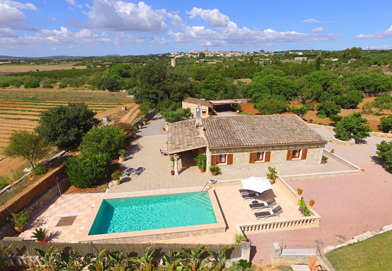 Domaine à Ariany - SA ROTA villa rurale pour 6 à Ariany avec piscine