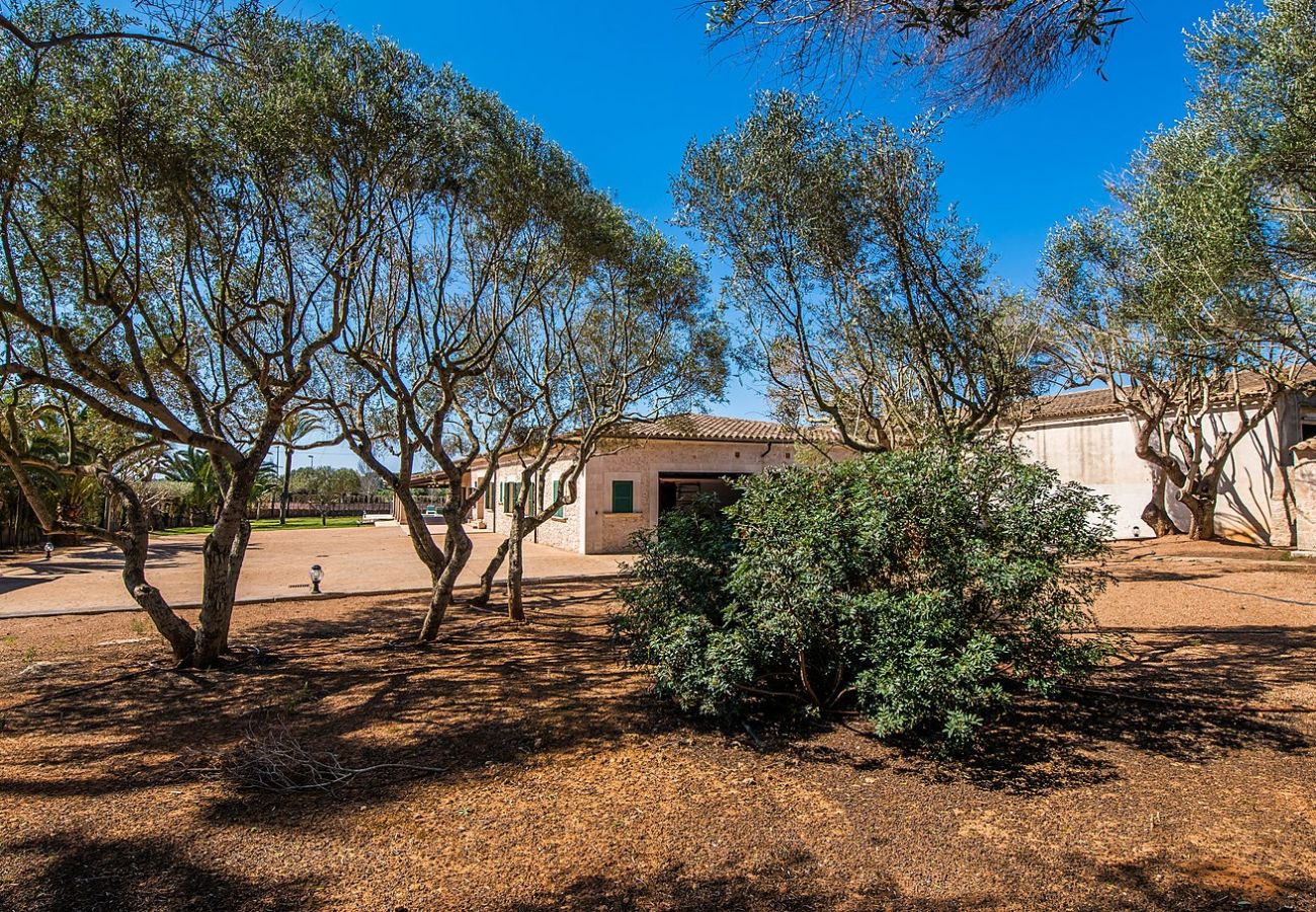 Domaine à Santanyi - Ikat Na Boneta Ferme familiale pour 8 à Santanyi avec piscine