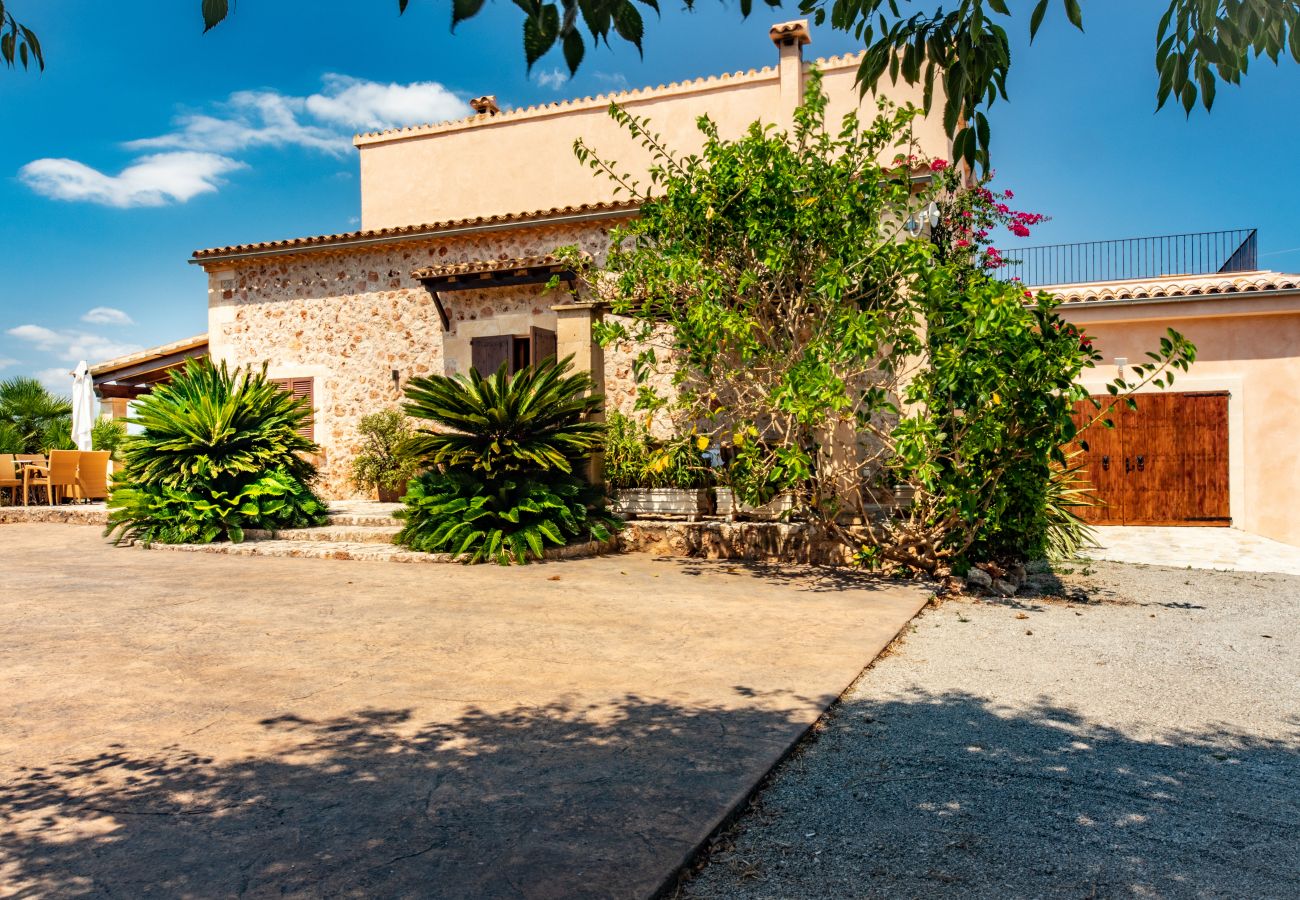 Domaine à Can Picafort - Carritx Finca pour 6 personnes à Can Picafort avec piscine, jardin et WiFi