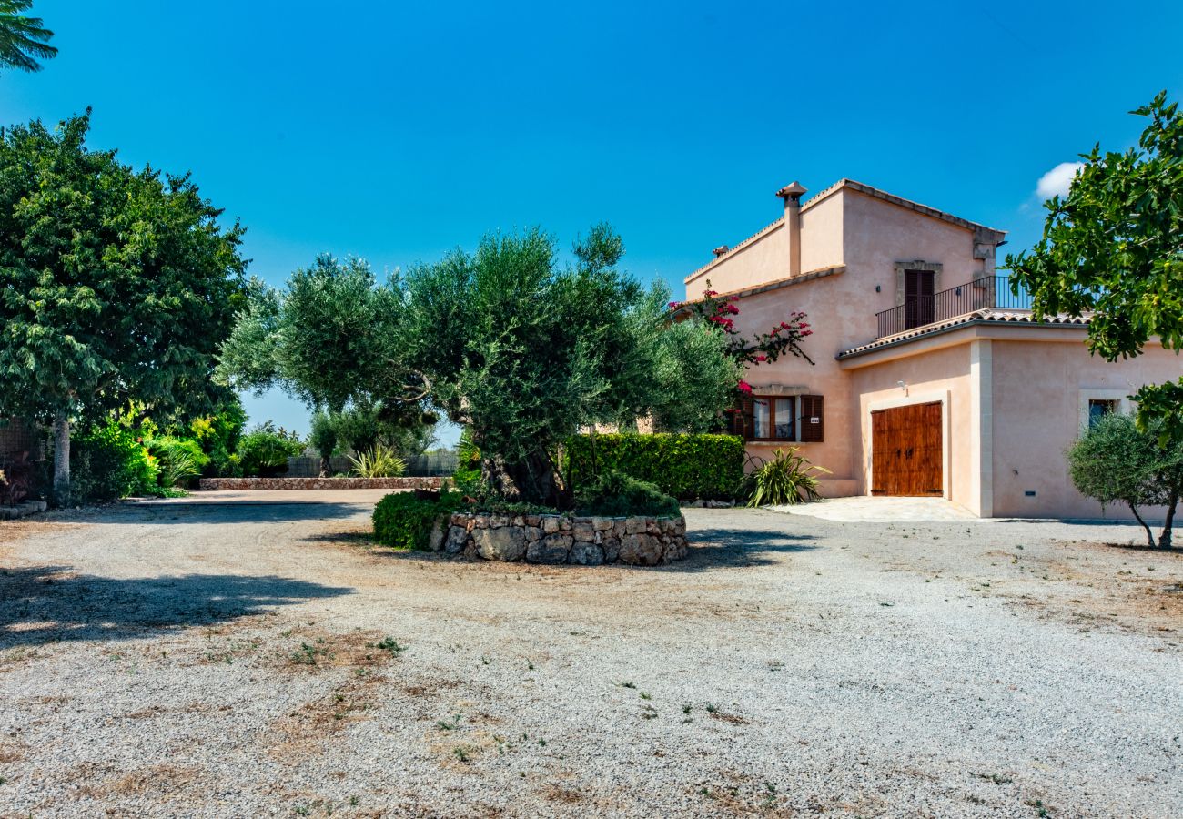 Domaine à Can Picafort - Carritx Finca pour 6 personnes à Can Picafort avec piscine, jardin et WiFi