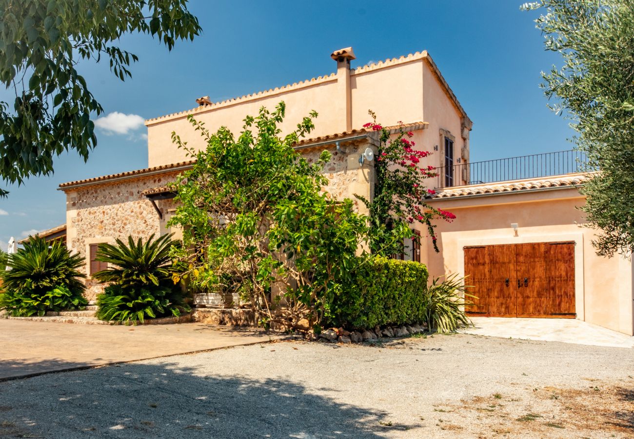 Domaine à Can Picafort - Carritx Finca pour 6 personnes à Can Picafort avec piscine, jardin et WiFi