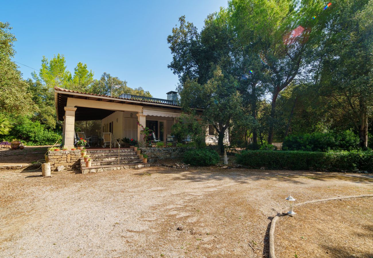 Maison à Alcudia - CAN SIMO à Alcudia pour 6 personnes à 500m de la plage