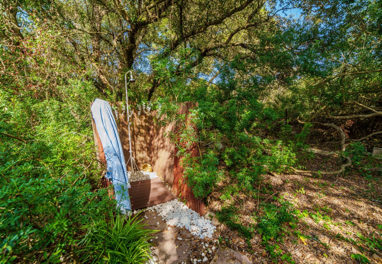 Maison à Alcudia - CAN SIMO à Alcudia pour 6 personnes à 500m de la plage