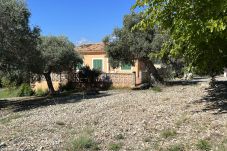 Finca en Alcúdia - Finca Rústica en son fe con 3 casas