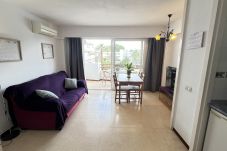 Estudio en Alcúdia - (VENDIDO)Estudio en Puerto de Alcudia